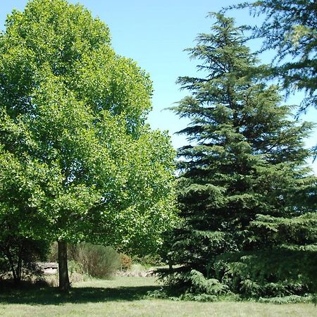 Laragh-On-Hogsback Villa Dış mekan fotoğraf