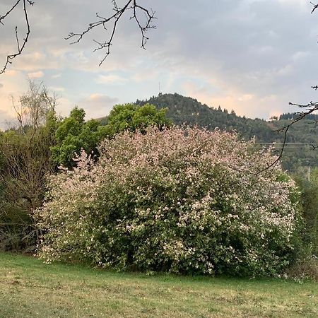 Laragh-On-Hogsback Villa Dış mekan fotoğraf