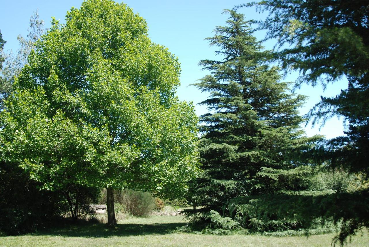 Laragh-On-Hogsback Villa Dış mekan fotoğraf