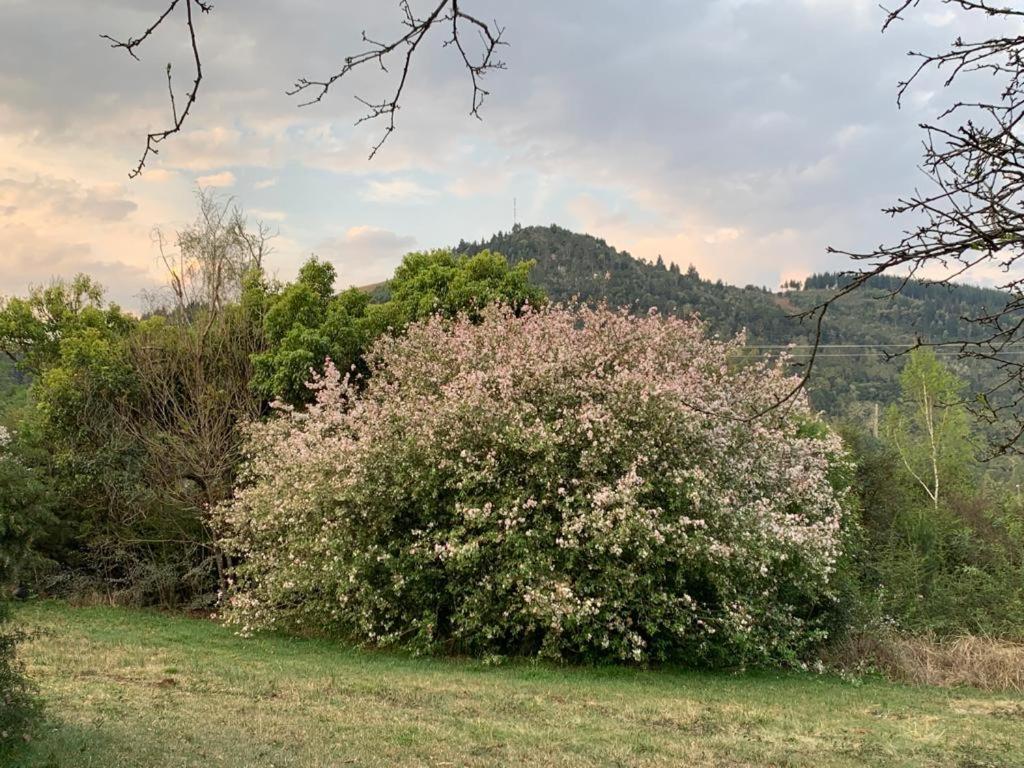 Laragh-On-Hogsback Villa Dış mekan fotoğraf