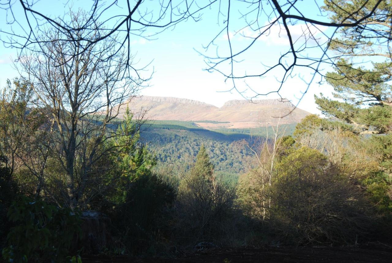 Laragh-On-Hogsback Villa Dış mekan fotoğraf